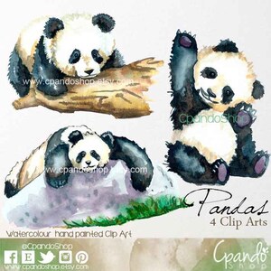 Panda Clipart / animal clipart / Baby Panda clip art and background /panda baby shower party idea/ Baby animals / INSTANT DOWNLOAD / art