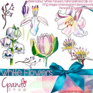 White Flowers 5 Png images with transparent background | Etsy