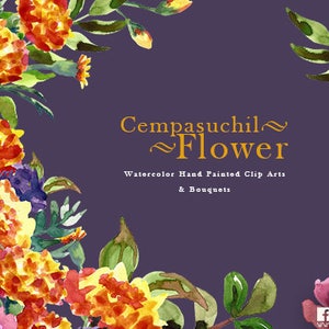 Fleurs de Cempasúchil peintes à la main, Traditions mexicaines Aquarelle Clip Art Fiesta mexicaine Invitations de mariage mexicaines Jour des Morts