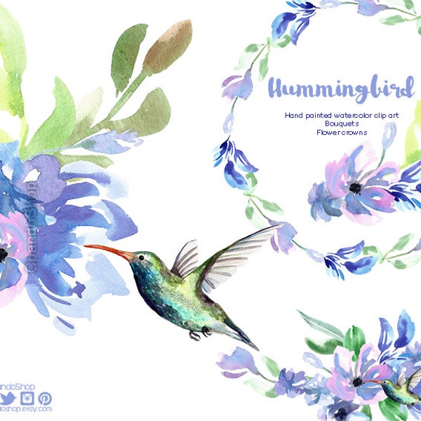 Hummingbird birds Colibri bird clip art images watercolor hand painted PNG transparent background for blog cards invitations