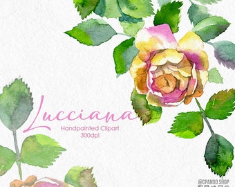 Pinke Rose Clipart - Transparent Background, High Resolution 300 dpi, Instant Download - Hand painted Floral watercolor clipart