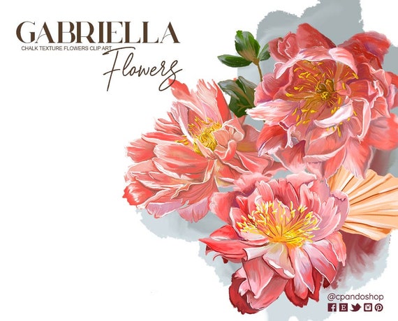 Acuarela flor png imágenes prediseñadas de flores de Boho - Etsy México Acuarela flor png imágenes prediseñadas de flores de Boho - Etsy México