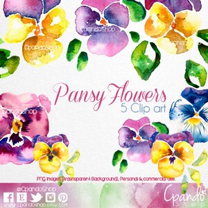 Pansy Flowers Art Clip (5Png images with transparent background)