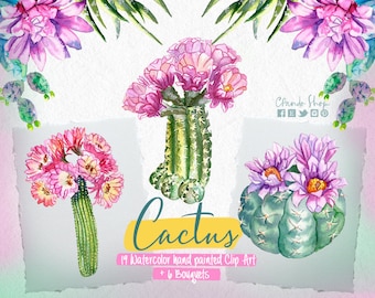 Watercolor Cacti clipart, Tropical watercolor plant, png succulent clipart, digital clipart, desert plants, greenery png, cactus clipart