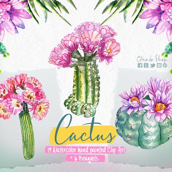Cactus pintados en acuarela imagen prediseñada cactus para fiesta mexicana invitaciones de boda acuarela flores clip art, homedecor print