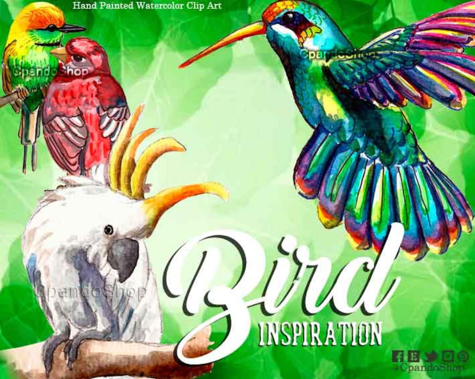 Tropical Birds Watercolor