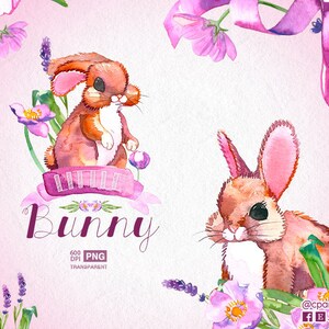 May include: Watercolor illustration of two cute bunnies with pink ears and brown fur. The bunnies are surrounded by pink flowers and lavender. The text "Little Bunny" is written in a pink banner.