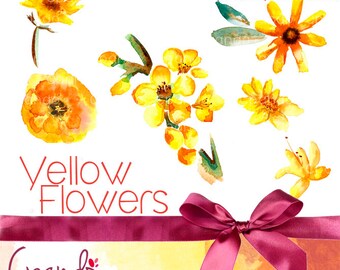 Yellow flowers 6 Clip art (Png images, transparent background) floral clip art, watercolor flower clipart, watercolor clipart, nature clip