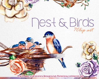 Nest and birds hand painted watercolor clip art (7 png images with transparent background 300dpi) love birds, wedding, babyshower, chickens.