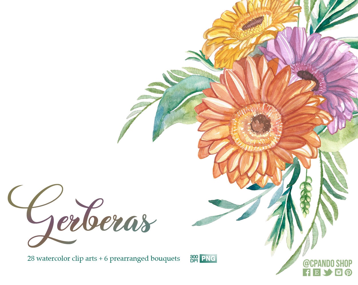 Gerberas flores pintadas en acuarela clip art, imagen prediseñada floral  para invitaciones de boda, baby showers, blogs, etc. Bouquets - Etsy México, image size:1252x998