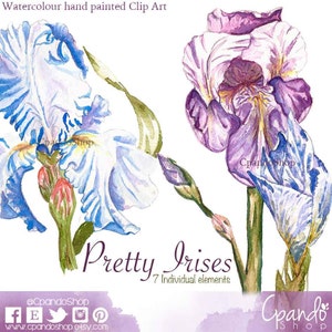 Watercolor Irises Clip Art, Iris artwork, Watercolor Iris, Digital graphics, Southern flowers, Iris Clipart, for wedding invitations, flower