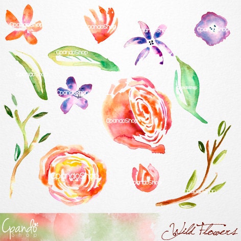 Wild Roses Watercolor Handpainted Clip Art 14 Png Images - Etsy