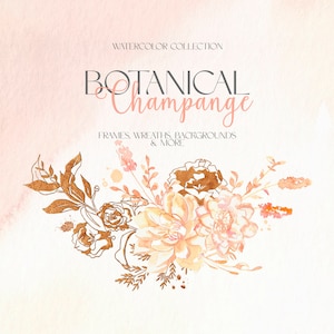 Botanischer Champagner, Aquarellblumen, Clipart PNG, handgemalt, Blumenarrangement, Hochzeitseinladungen, Junggesellenabschied, Karten