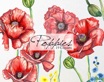 Handpainted floral elements and arrangement wedding elements poppies  watercolor clipart, elements invite emblishment boho poppy clipart