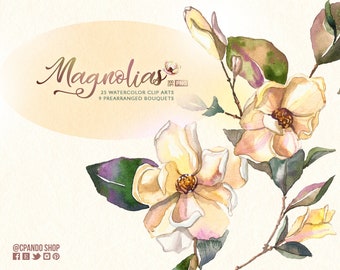 Magnolia clip art images watercolor hand painted PNG transparent background white flower for wedding invite, baby shower, wallart, etc