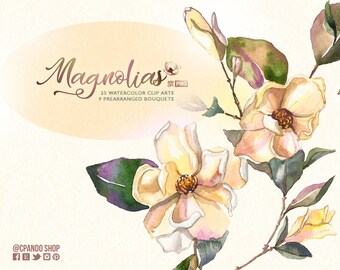 Magnolien ClipArt Magnolienblüten PNG transparenter Hintergrund JPG Weiße Blume Digitale elegante Blumen für Karten, Einladungen usw.