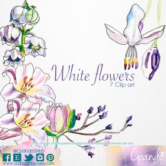 White Flowers 5 Png Images With Transparent Background Etsy White Flowers 5 Png Images With Transparent Background Etsy