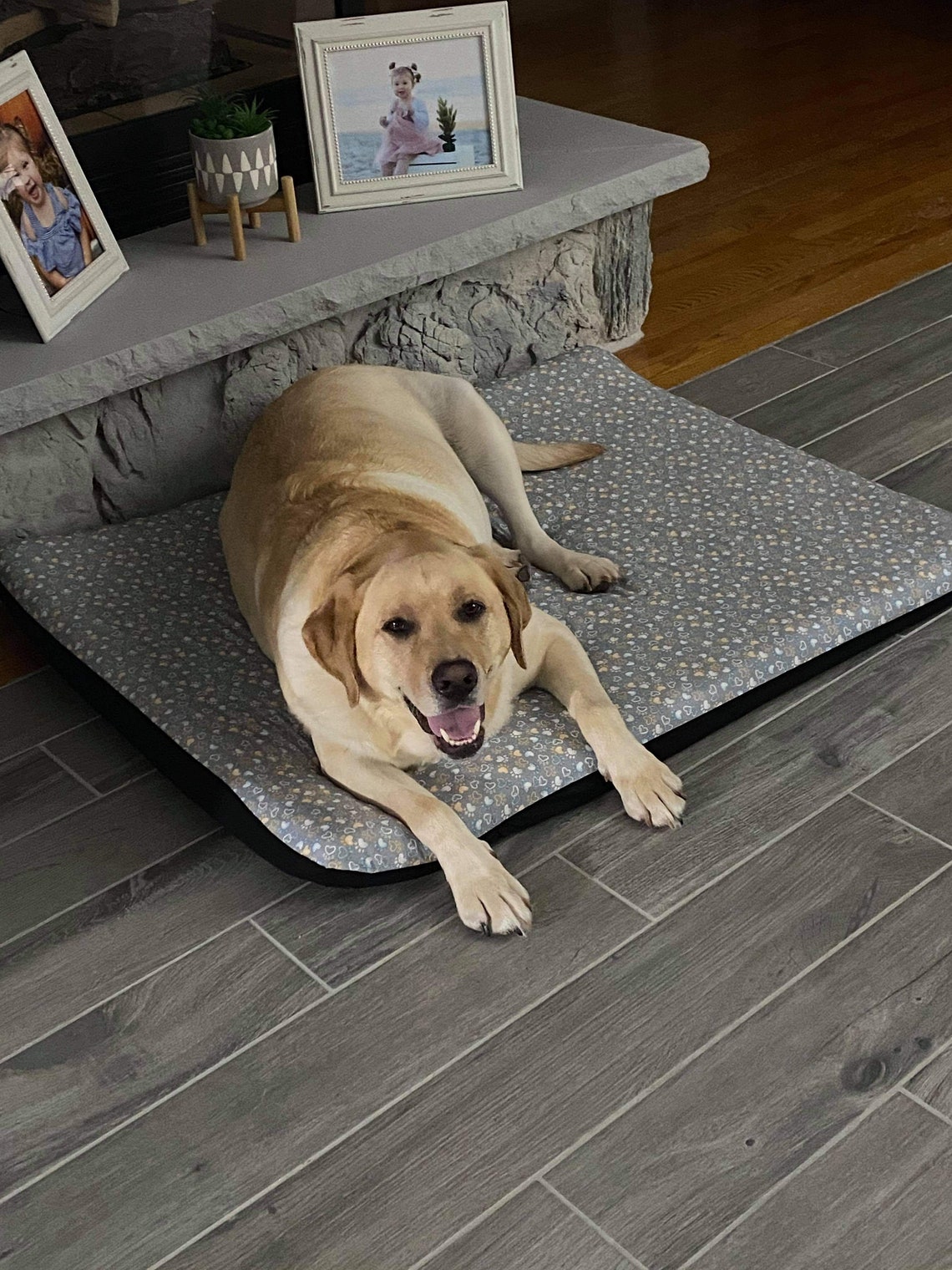 Lazy Paws Dog Bed Covers Etsy