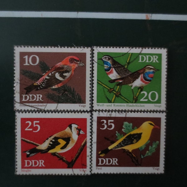 Briefmarken Magnete "Vögel DDR"