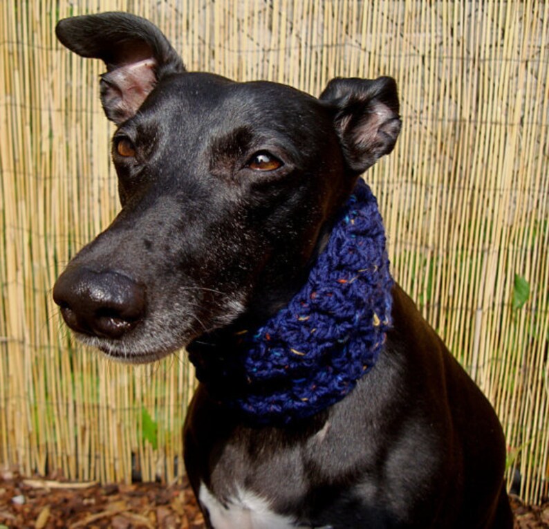 sighthound vs securityspy sighthound vs securityspy