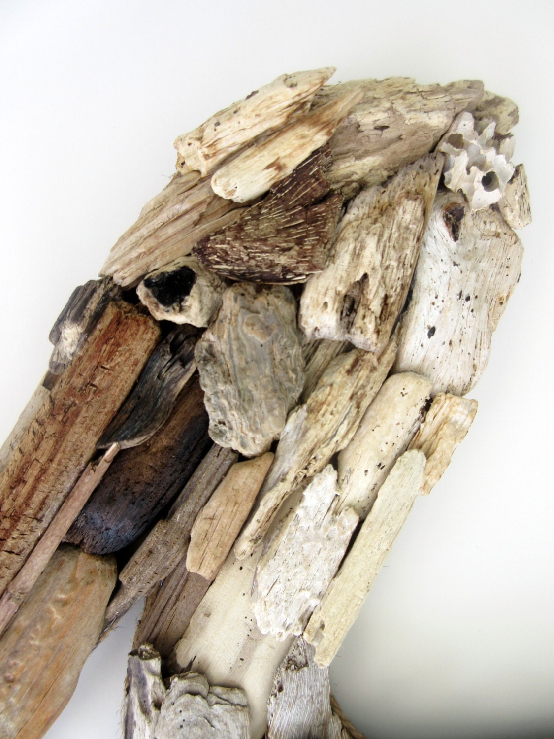 Driftwood Pelican Coastal Wall Decor Etsy