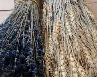 English Lavender Bunches (7) & Dried Wheat Bunches (7) - Lavender, Dried Wheat, Lavender Bouquet, Lavender, Wholesale Lavender