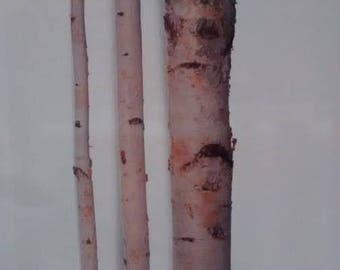 Tall Birch Poles (6'-8' Long) -Birch Logs/Birch Poles/Bulk Birch Poles/Birch Wedding Arch/Birch Tree/Wholesale Birch Poles/Birch logs
