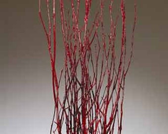 Red Birch Tree Branches 3'-4' (24-48)   - Birch branches/bulk birch branches/wholesale branches/birch branches