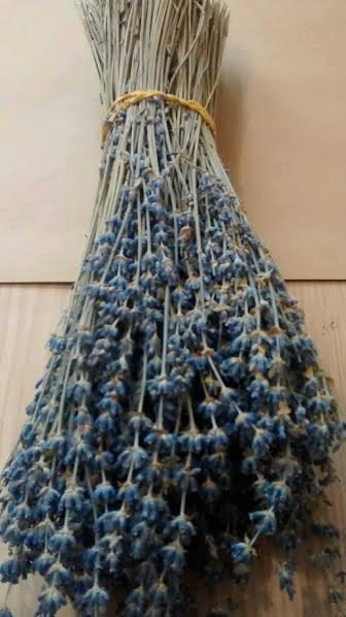 English Lavender Bunches Dried 1115 Long Etsy