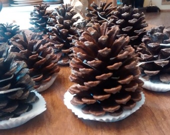 Pinecone Firestarter Guest Favors (130-150) - Great For Rustic Country Weddings