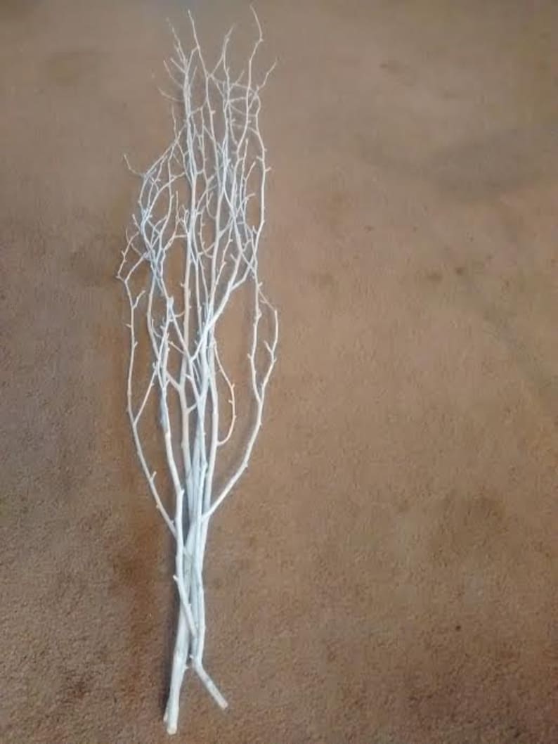 White Birch Tree Branches 5 Pack 3 4 Long Bulk Etsy