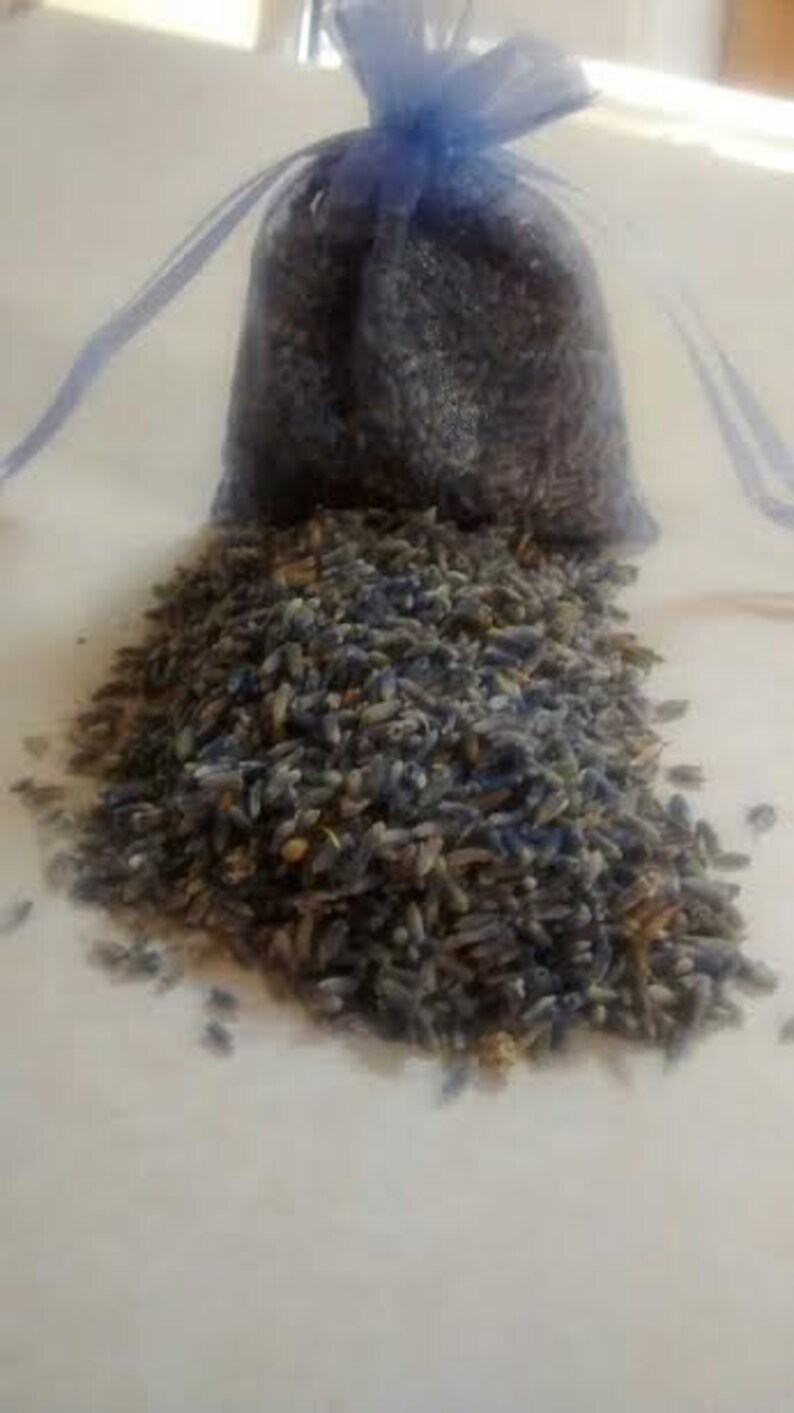 Premium Dried Lavender Flower Bud Sachet Guest Favors Etsy