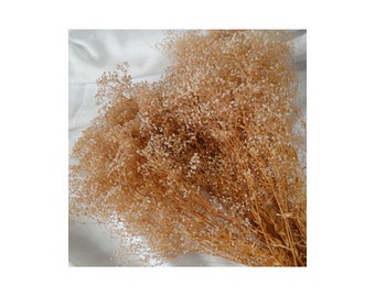 BULK (12) Baby's Breath Bunches Preserved (gypsophila) - 18"-22" long - Perfect For Rustic Country Weddings