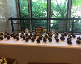 Pine Cones Guest Seating (200) - Use to create  place card holders/Pine cone guest favors -  Rustic weddings and holidays