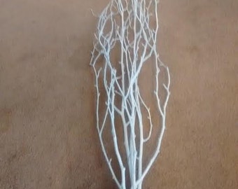 RUSH ORDER FEE White Birch Tree Branches