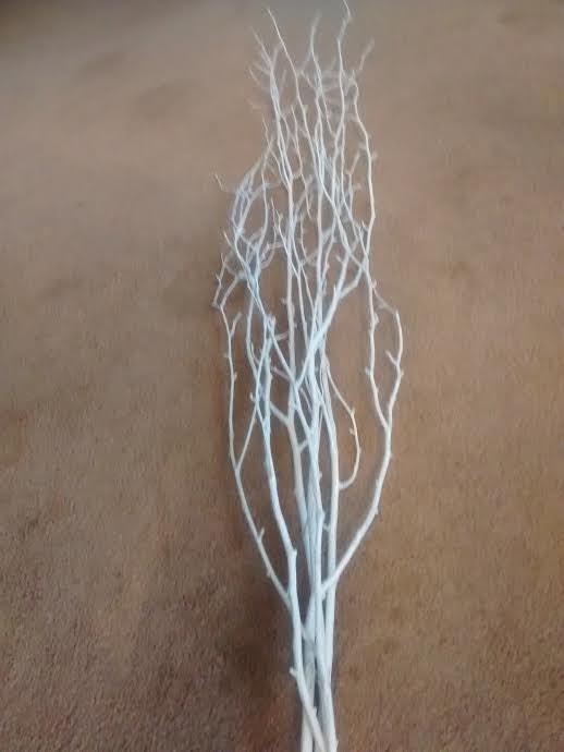 59 Long Wood Birch Branches, 16ct.