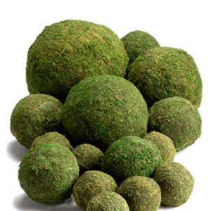 May include: A set of moss balls in various sizes, ranging from small to large, arranged in a pyramid shape. The moss balls are a vibrant green color.