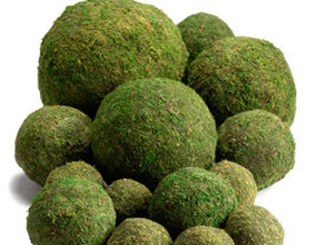 Moss Balls Preserved All Natural 12 (6") - Perfect For Rustic Country Weddings