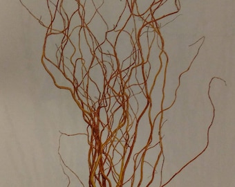 Curly Willow Branches 3'-4' Tall - (10-100)  pieces) Great For Rustic Country Wedding Decorating