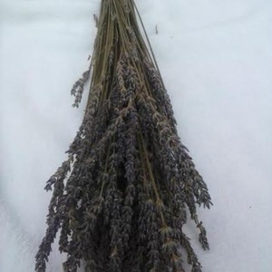 May include: A bunch of dried lavender stems with purple flowers. The stems are tied together with twine.