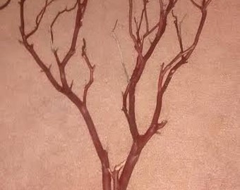 Manzanita Branches 6  (2') All Natural - Perfect For Country Rustic Wedding Centerpieces And Decorations