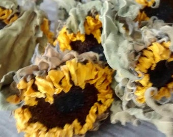 Sunflower Stems naturally dried (12 included)  24"-30" long - Perfect For Rustic Country Weddings