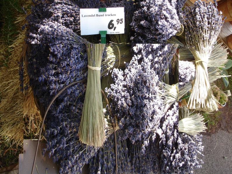 May include: A bunch of dried lavender flowers tied together with twine. The lavender is a light purple colour and the twine is a natural brown colour. The price tag reads "Lavende Bund trocken 6,95".