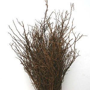 May include: A bunch of brown twig branches, perfect for crafting and floral arrangements.