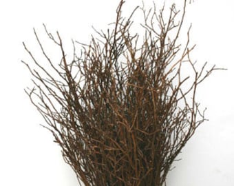 Sweet Huck Branches (8oz Bunch) 22"-26" long  - Great For Rustic Country Wedding Decorating