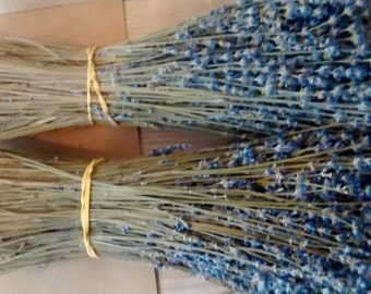 May include: Two bundles of dried lavender, tied with yellow string. The lavender is a light blue color and the stems are a light brown color.