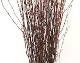 Dogwood  Tree Branches 3'-4' Tall  (25-50 individual branches) - Great for Rustic farmhouses, Wedding Decorating, Centerpieces, fall decor