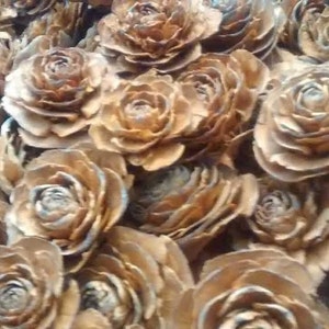 May include: A close-up of a group of brown, wooden, pine cone roses. The roses are arranged in a cluster, with some overlapping. The roses are all the same size and shape, and they have a natural, rustic look.