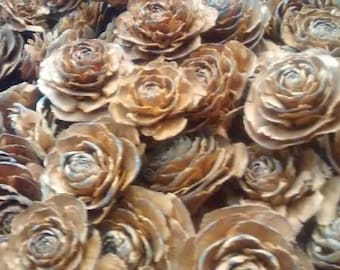 Cedar Rose Pinecones 50-100 (single heads)  - Perfect For Rustic Country Weddings