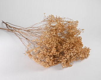 Dried Bloom Broom (Resembles gypsophila) - 18"-22" long - Perfect For Rustic Country Weddings